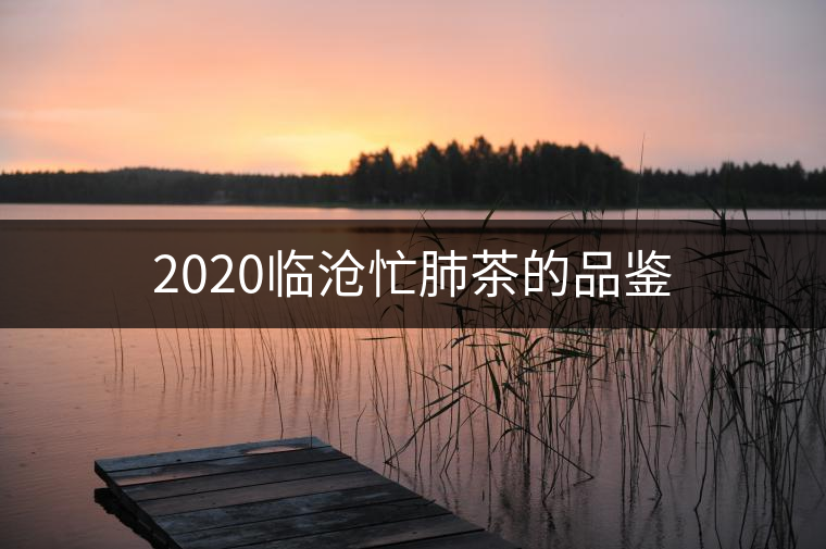 2020臨滄忙肺茶的品鑒 2020臨滄忙肺茶的品鑒