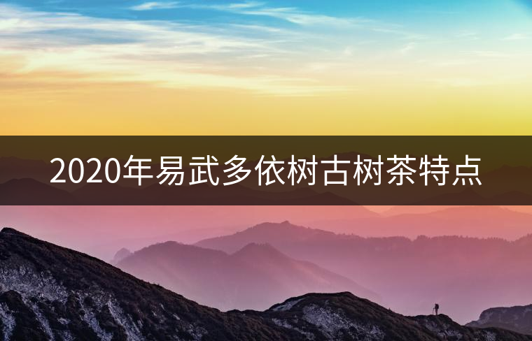 2020年易武多依樹(shù)古樹(shù)茶特點(diǎn) 2020年易武多依樹(shù)古樹(shù)茶特點(diǎn)