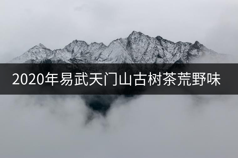 2020年易武天門(mén)山古樹(shù)茶荒野味道 2020年易武天門(mén)山古樹(shù)茶荒野味道