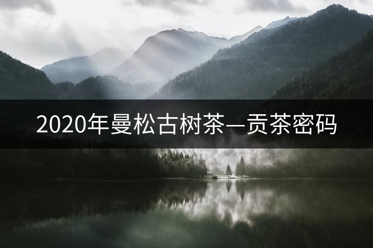 2020年曼松古樹(shù)茶—貢茶密碼 2020年曼松古樹(shù)茶—貢茶密碼