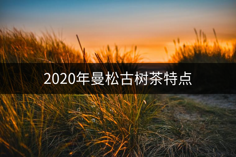 2020年曼松古樹(shù)茶特點(diǎn)