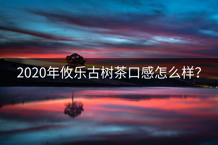 2020年攸樂古樹茶口感怎么樣？