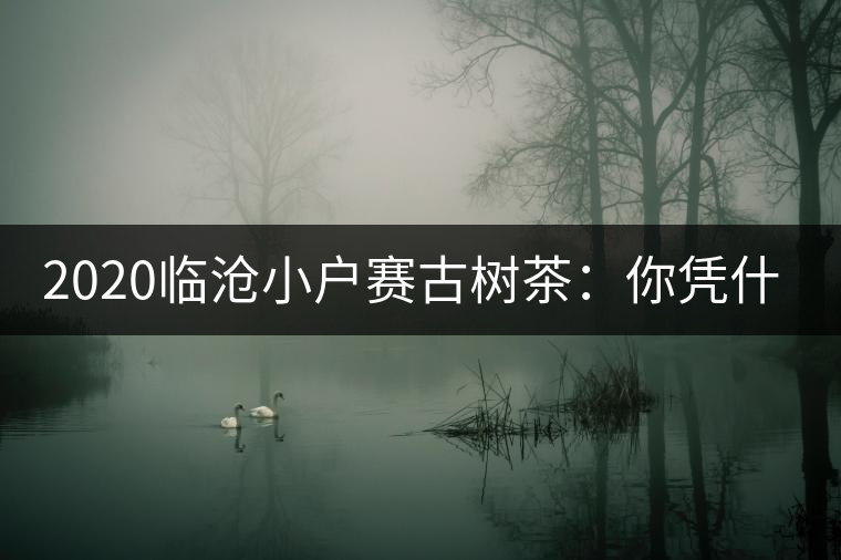 2020臨滄小戶賽古樹茶：你憑什么當(dāng)冰島賣？