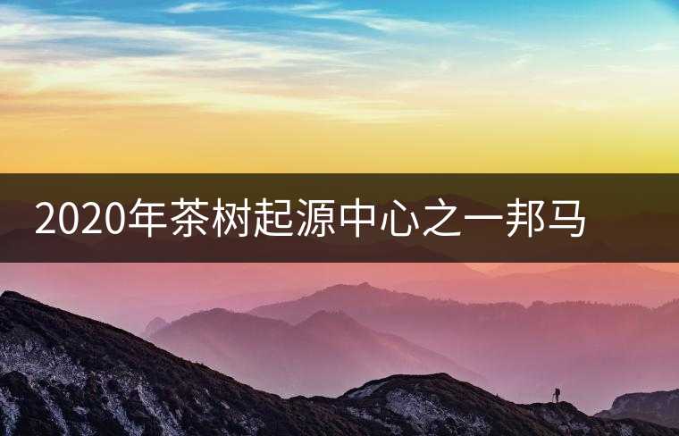 2020年茶樹起源中心之一邦馬大雪山上有哪些神秘的村寨？