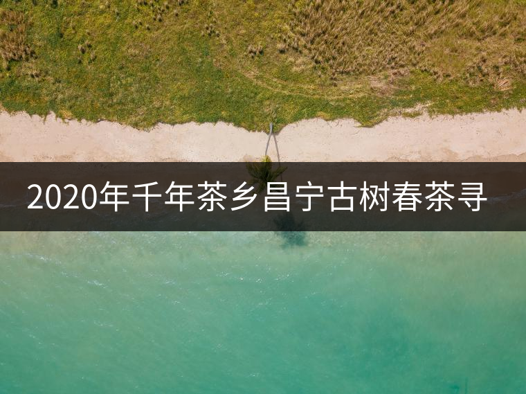 2020年千年茶鄉(xiāng)昌寧古樹春茶尋茶記 2020年千年茶鄉(xiāng)昌寧古樹春茶尋茶記