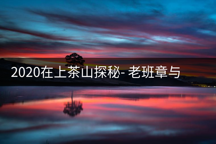 2020在上茶山探秘- 老班章與新班章，一母所生，一念之間，際遇迥異