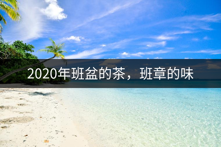 2020年班盆的茶，班章的味