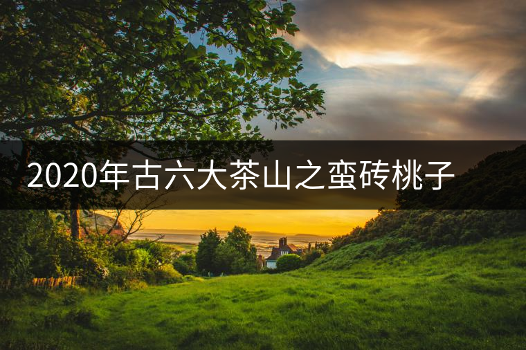 2020年古六大茶山之蠻磚桃子寨古樹(shù)茶，瓦龍古樹(shù)茶口感與特點(diǎn)