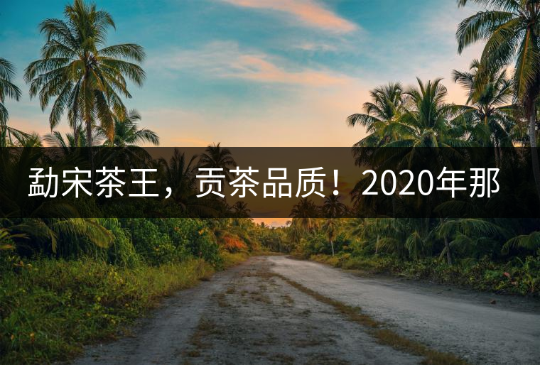 勐宋茶王，貢茶品質(zhì)！2020年那卡古樹青餅悠然而至！