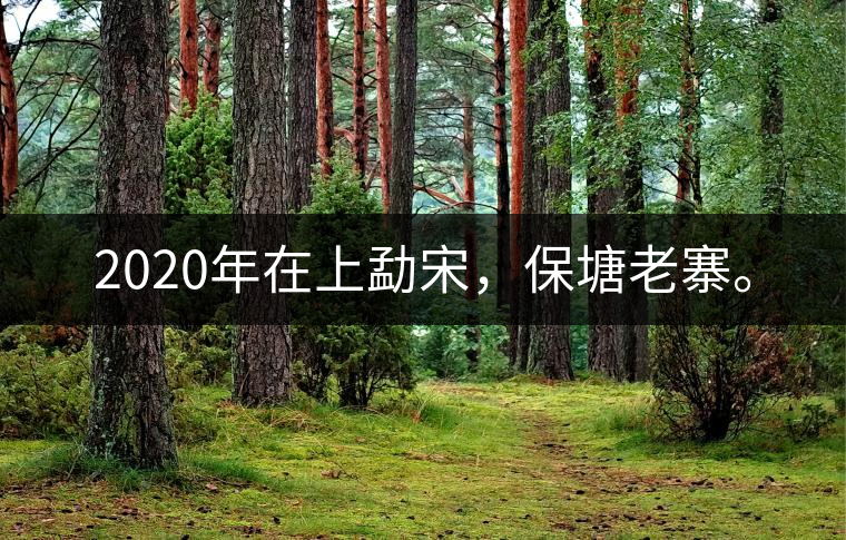 2020年在上勐宋，保塘老寨。