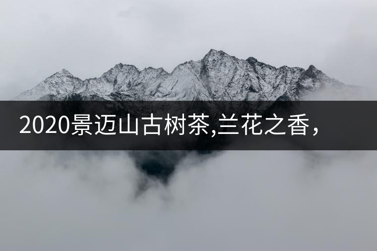2020景邁山古樹茶,蘭花之香，自然之味