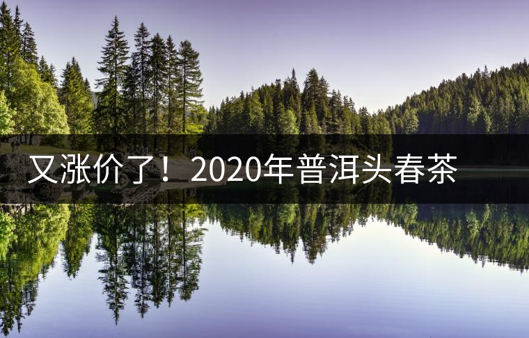 又漲價(jià)了！2020年普洱頭春茶同比減產(chǎn)50%，導(dǎo)致微小區(qū)域價(jià)格上浮