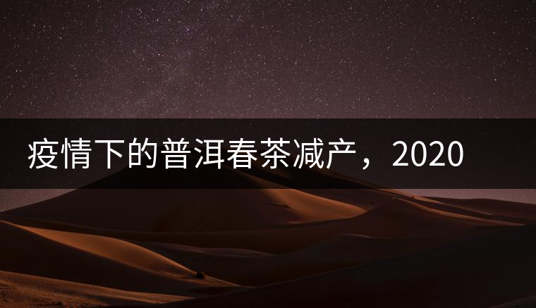 疫情下的普洱春茶減產(chǎn)，2020年價(jià)格“兩極分化”或成常態(tài)？