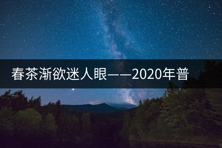 春茶漸欲迷人眼——2020年普洱春茶上市，可別買(mǎi)假了