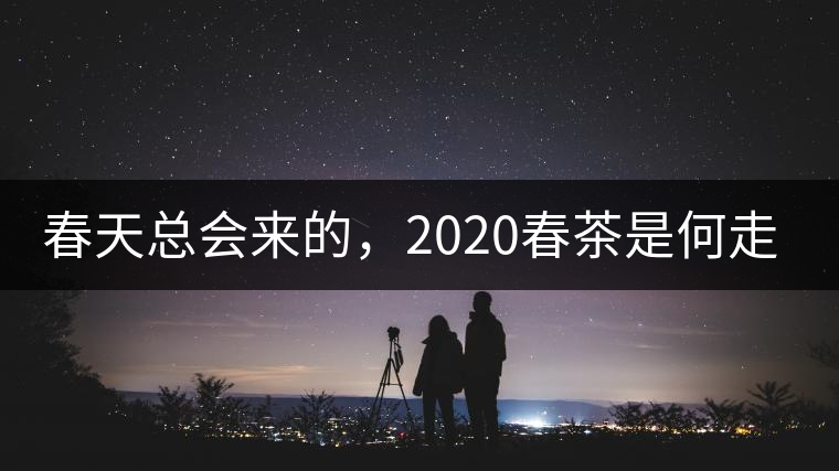 春天總會來的，2020春茶是何走勢？