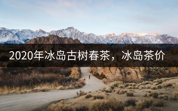 2020年冰島古樹春茶，冰島茶價(jià)格貴在哪里？