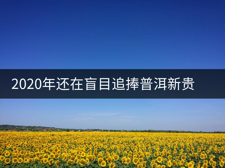 2020年還在盲目追捧普洱新貴“貓耳朵”？我們深入產(chǎn)區(qū)為你揭示最真實(shí)的“貓耳朵”！
