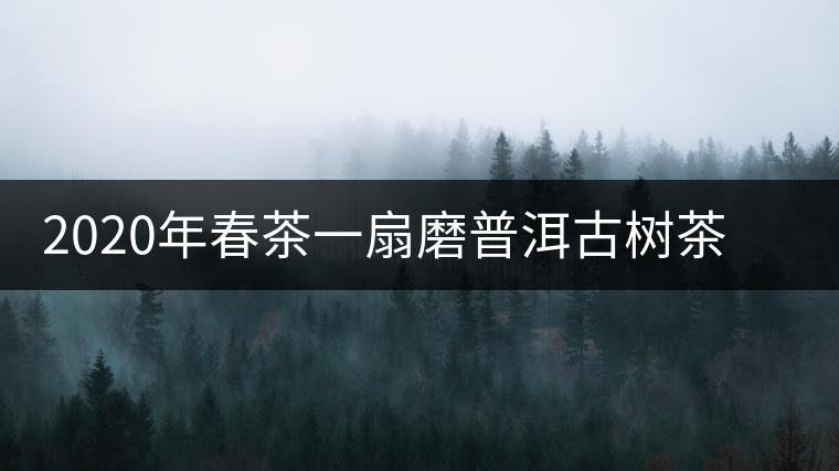 2020年春茶一扇磨普洱古樹茶價(jià)格是多少錢一斤