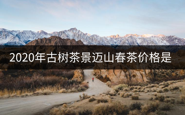 2020年古樹(shù)茶景邁山春茶價(jià)格是多少？