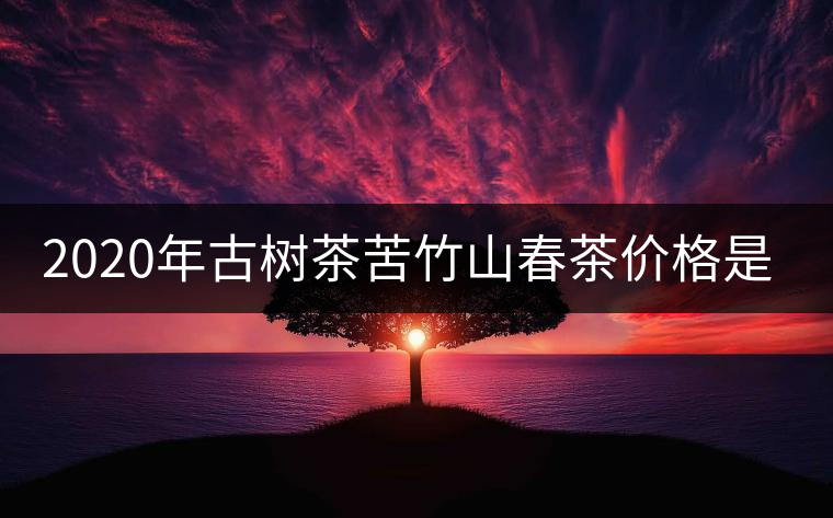 2020年古樹茶苦竹山春茶價(jià)格是多少？