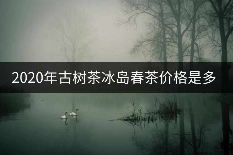 2020年古樹茶冰島春茶價(jià)格是多少? 2020年古樹茶冰島春茶價(jià)格是多少?