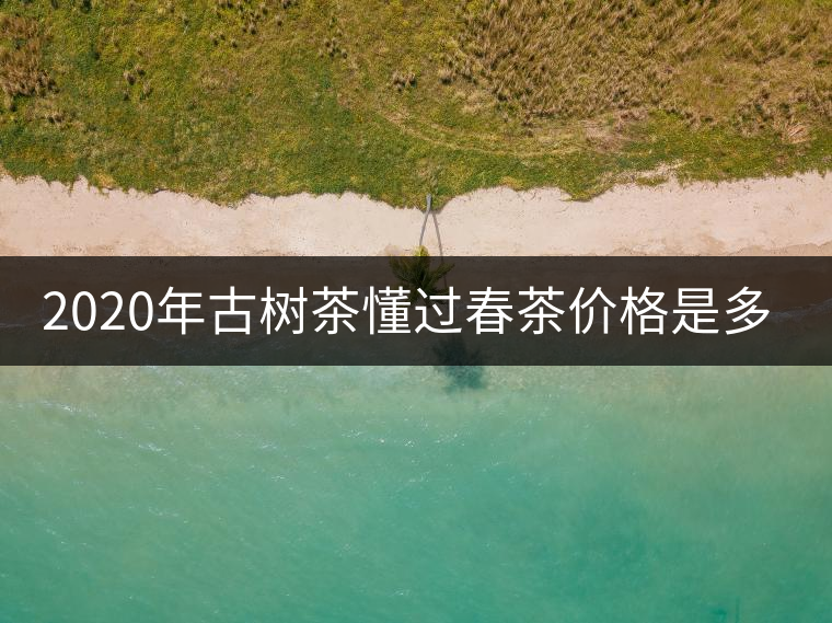2020年古樹茶懂過春茶價格是多少？