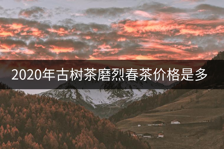 2020年古樹茶磨烈春茶價格是多少？