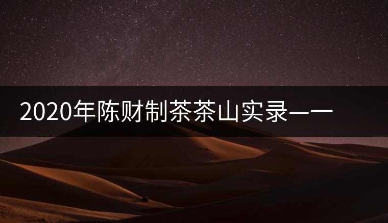 2020年陳財制茶茶山實錄—一手提7山，感受小產(chǎn)區(qū)的奧秘