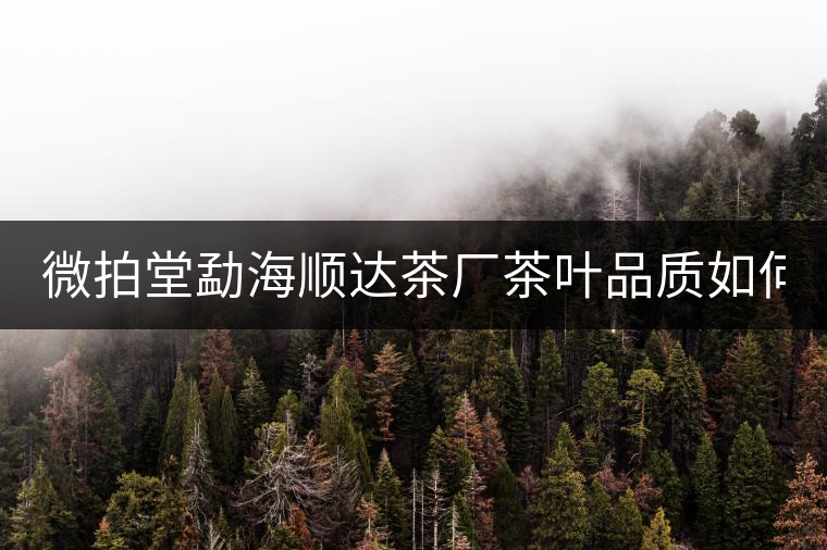 微拍堂勐海順達(dá)茶廠茶葉品質(zhì)如何？