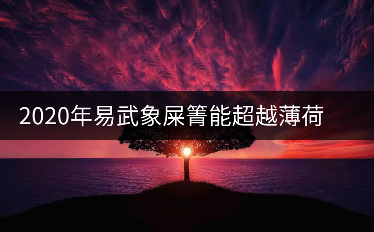 2020年易武象屎箐能超越薄荷塘，比肩哆依樹高桿嗎？