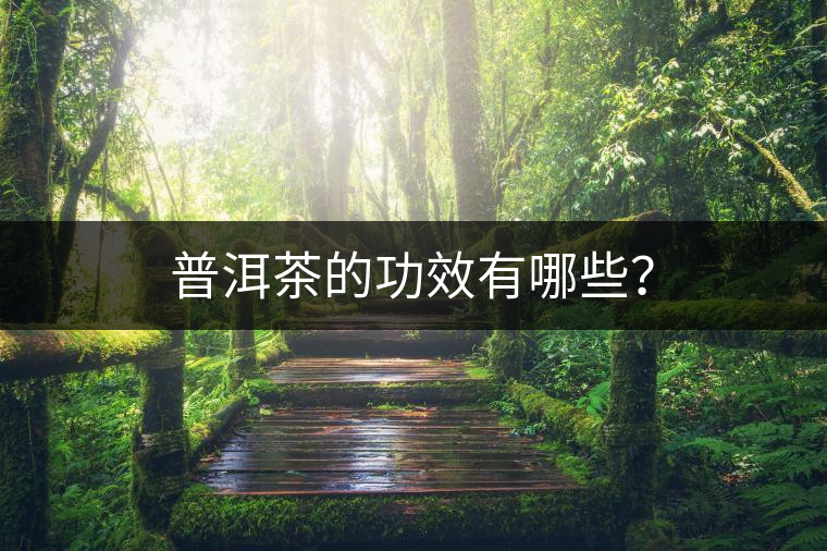普洱茶的功效有哪些？