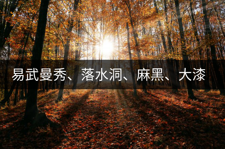 易武曼秀、落水洞、麻黑、大漆樹等你更喜歡哪個茶？