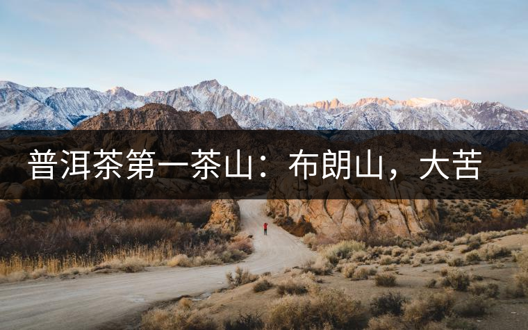 普洱茶第一茶山：布朗山，大苦大甘是它的魂