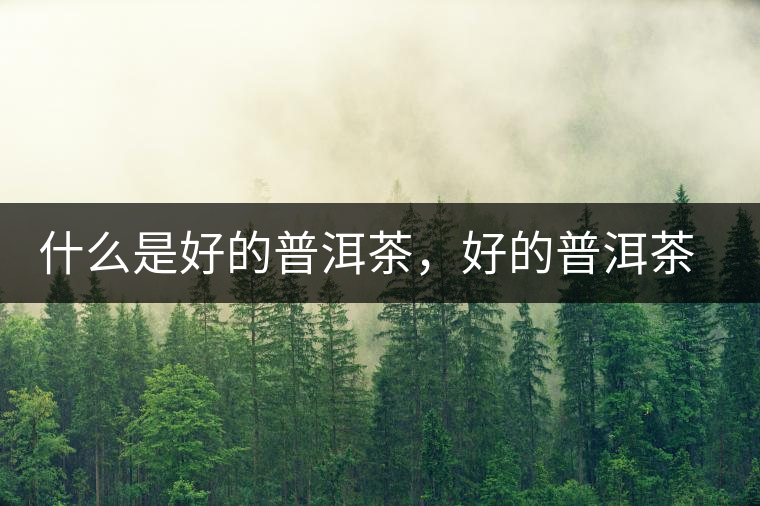 什么是好的普洱茶，好的普洱茶必須要有好的工藝！
