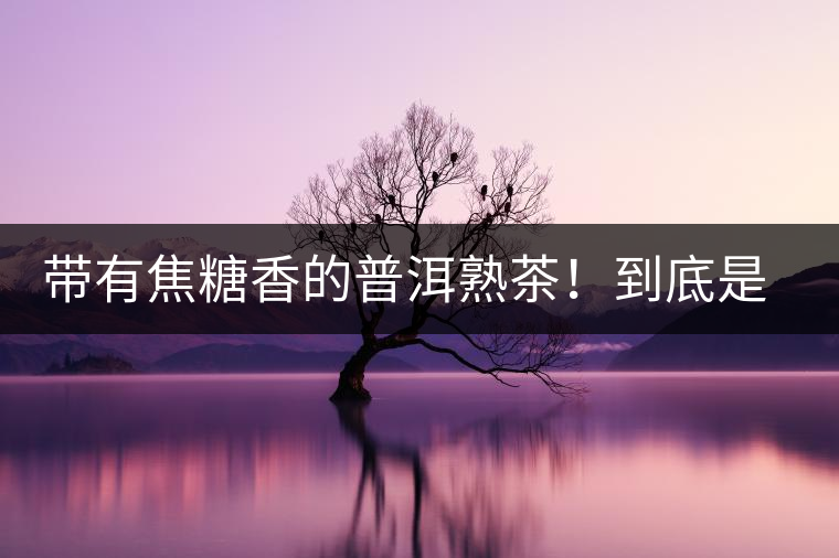 帶有焦糖香的普洱熟茶！到底是好是壞？