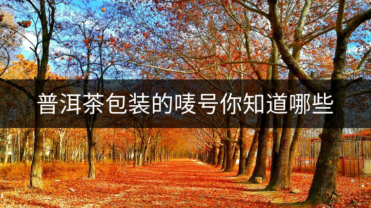 普洱茶包裝的嘜號你知道哪些