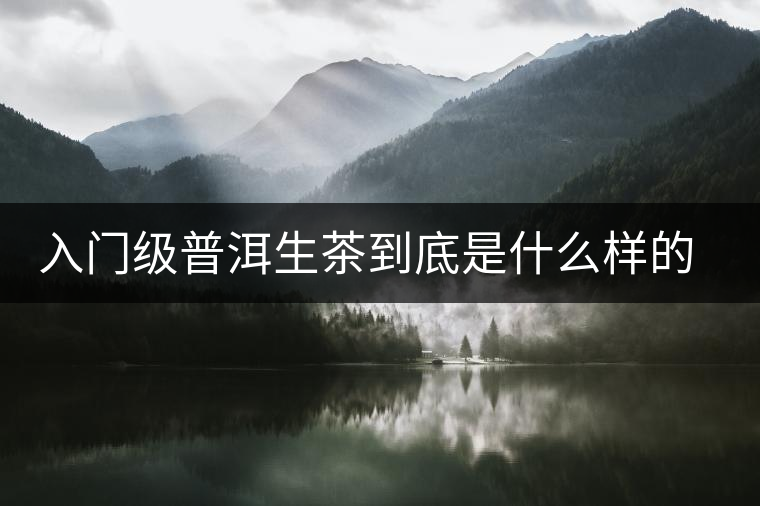 入門級(jí)普洱生茶到底是什么樣的口感？