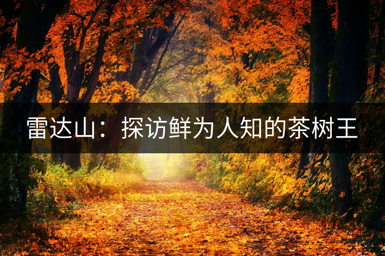 雷達(dá)山:探訪鮮為人知的茶樹王 雷達(dá)山:探訪鮮為人知的茶樹王