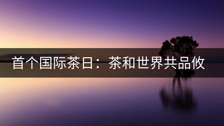 首個(gè)國(guó)際茶日：茶和世界共品攸樂貢茶