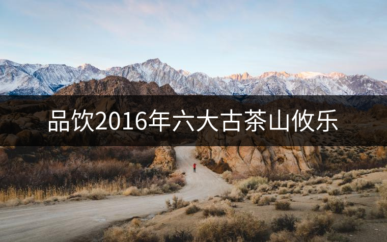 品飲2016年六大古茶山攸樂(lè)