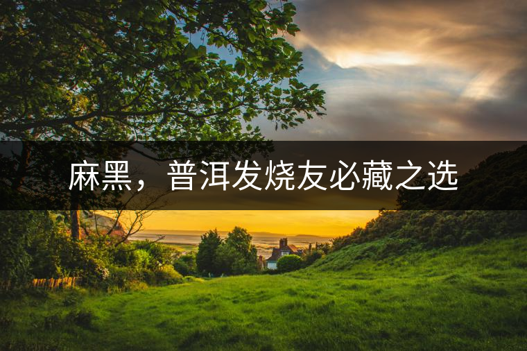 麻黑，普洱發(fā)燒友必藏之選