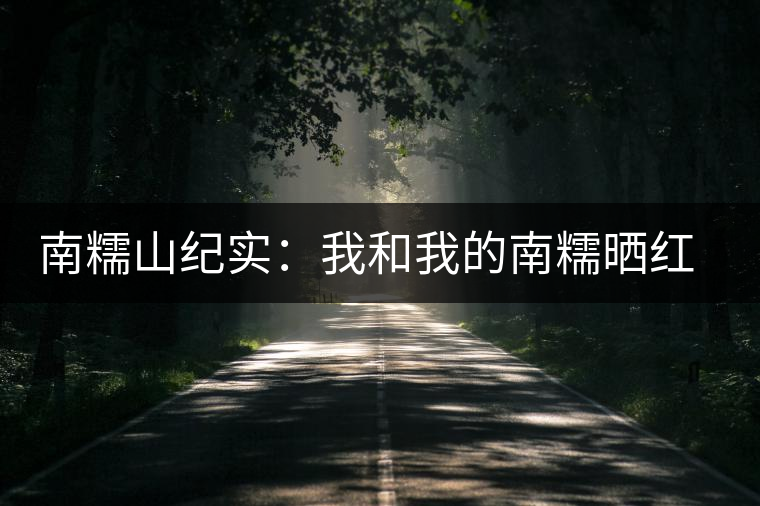 南糯山紀實：我和我的南糯曬紅茶