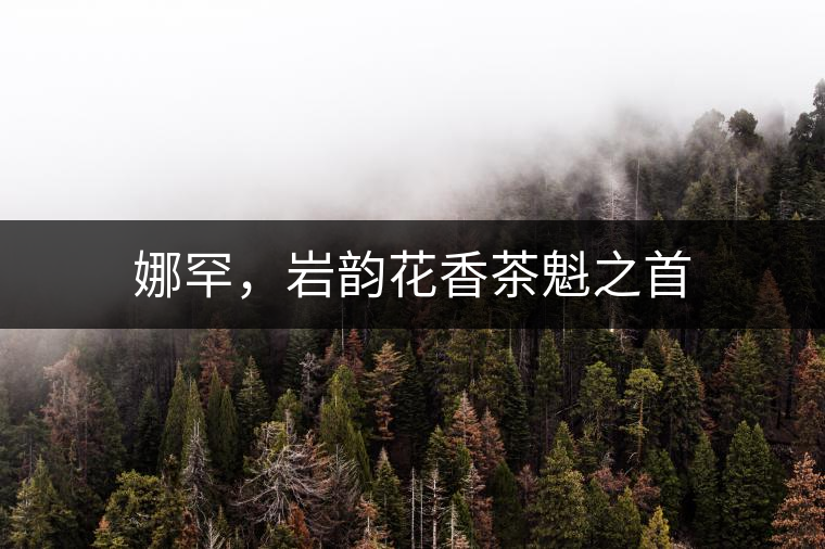 娜罕，巖韻花香茶魁之首