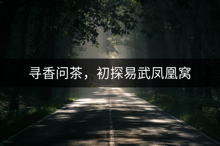 尋香問茶，初探易武鳳凰窩