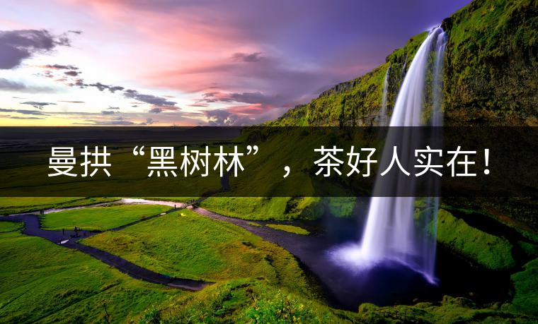 曼拱“黑樹林”，茶好人實在！