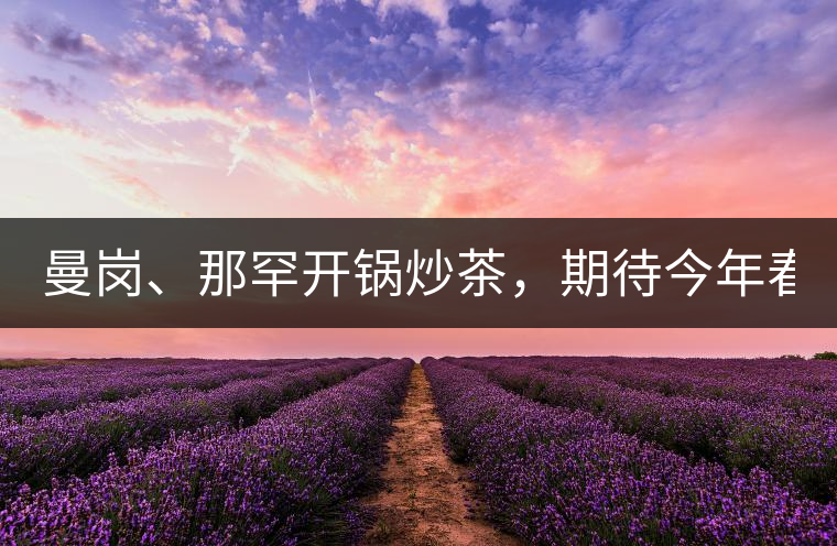 曼崗、那罕開鍋炒茶，期待今年春茶！