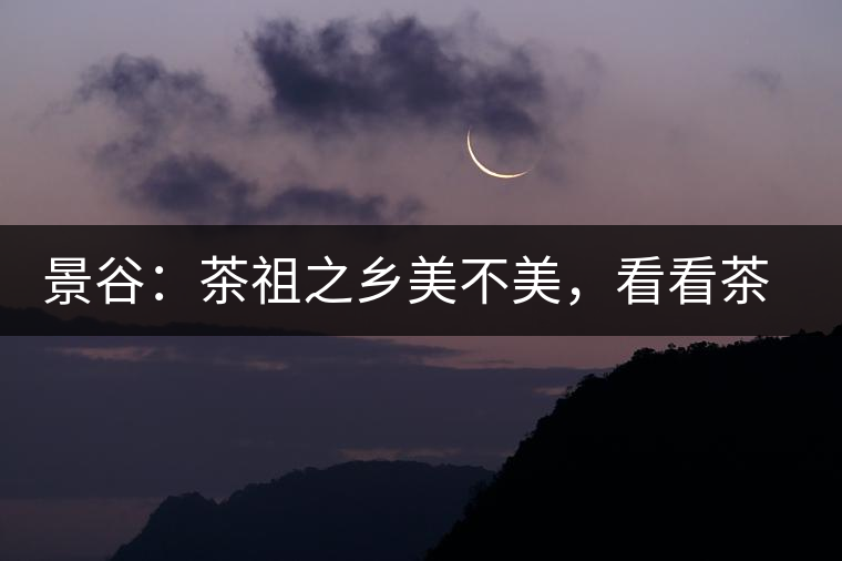 景谷：茶祖之鄉(xiāng)美不美，看看茶山和美人