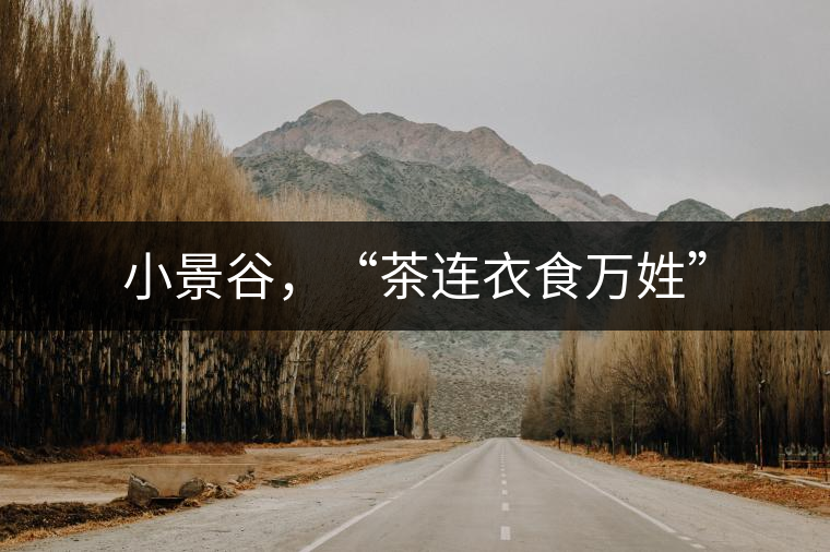 小景谷，“茶連衣食萬(wàn)姓”
