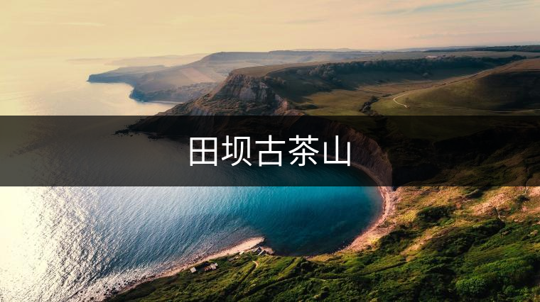 田壩古茶山 田壩古茶山