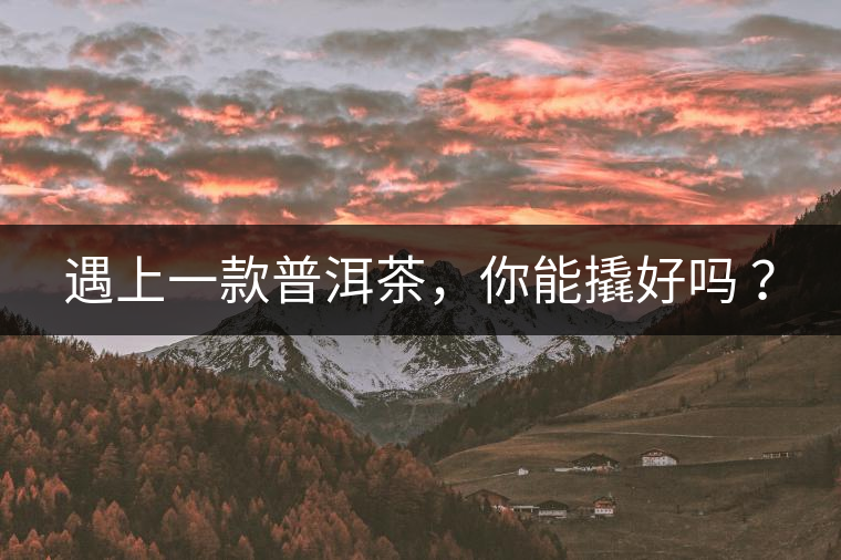 遇上一款普洱茶，你能撬好嗎 ？
